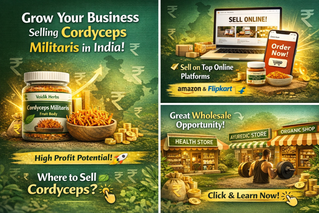 Sell Cordyceps Militaris in India
