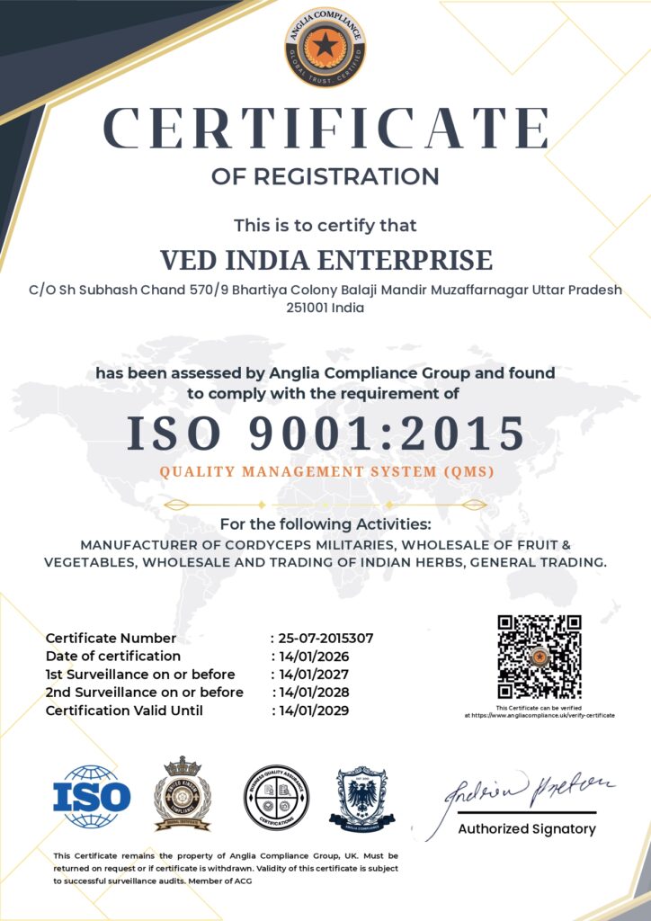 ISO certificate